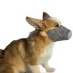 3PCS SEETOYS Dog Protective Masks Size L Grey