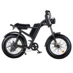 Riding’ times Z8 Electric Bike 20 Inch 28MPH Speed 48V 15Ah 500W Motor