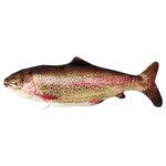 Senneny Electric Moving Fish Cat Toy Rainbow Trout