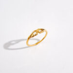 The Wing Ring in Gold