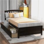 Twin Size Wooden Platform Bed Frame with 2 Storage Drawers Espresso