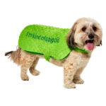 Yummy World Dylan the Dill Pickle Pet Costume