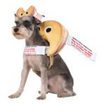 Yummy World Fate the Fortune Cookie Pet Costume